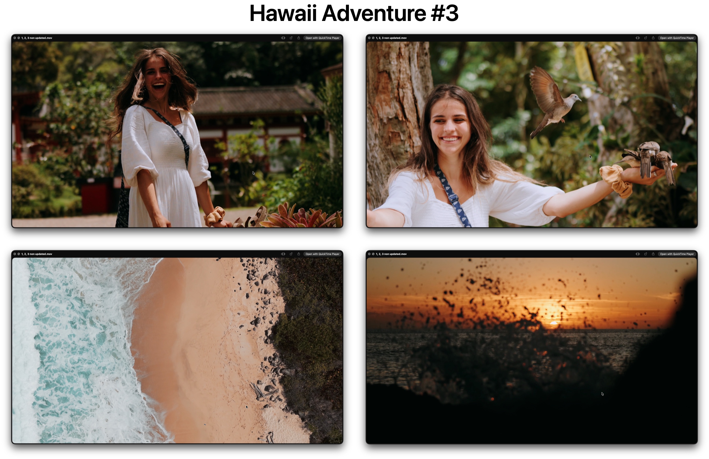 Hawaii adventure film color grade still